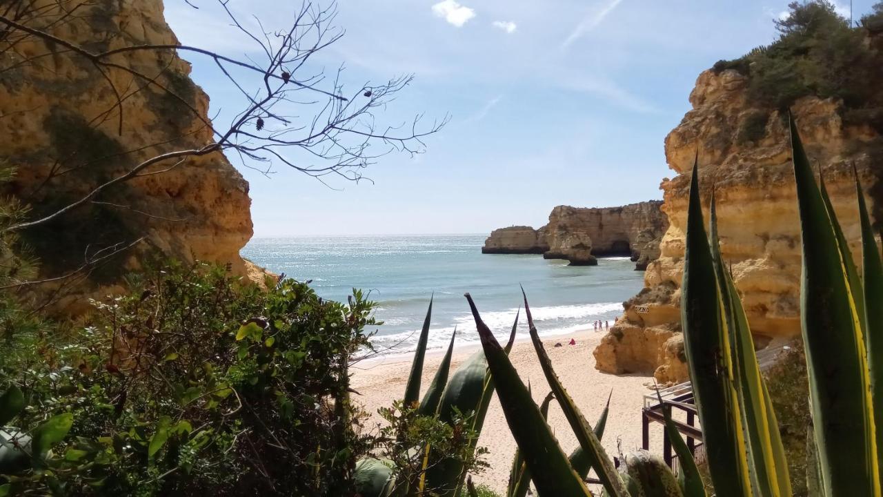 Albufeira Beach Apartment ภายนอก รูปภาพ